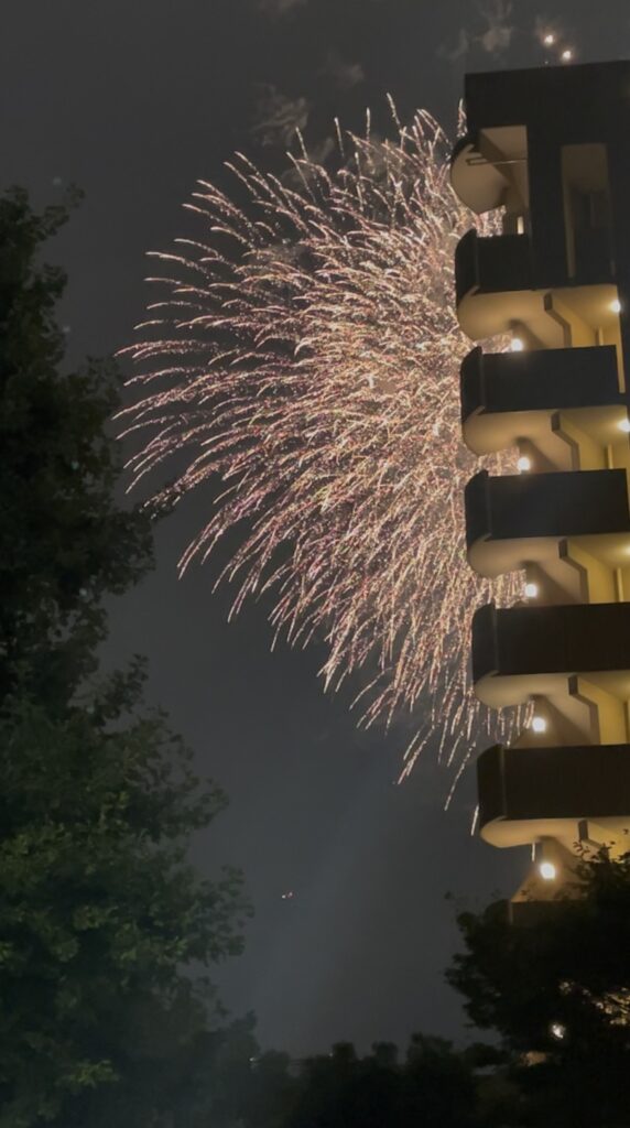 大きく開いた金色の花火