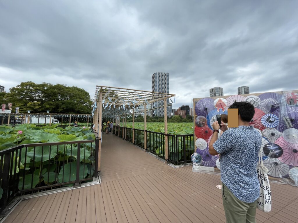 うえの夏まつりの会場に飾られた和傘の壁と、写真を撮る来場者