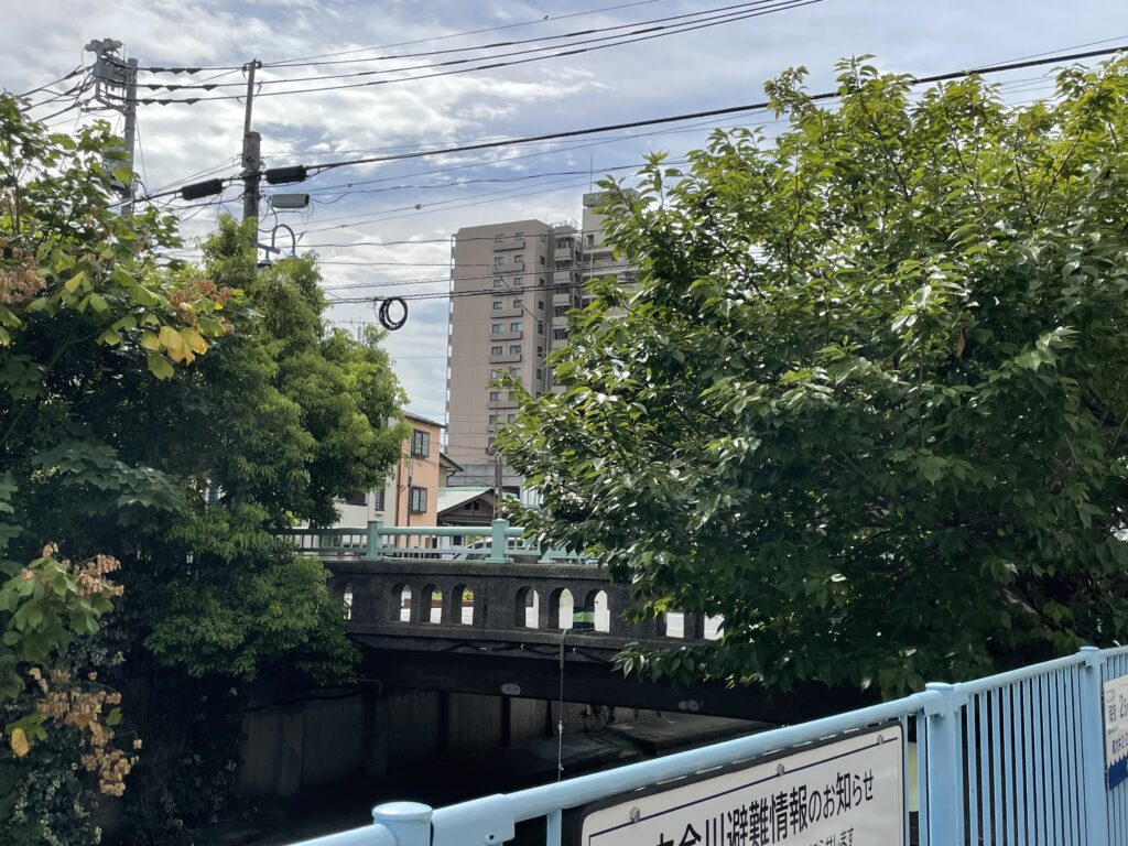 立会川の名の由来は、大井村の「立会」の地を流れていたことや、かつて川の近くで野菜などの売買の「立会い」が行われたこと、あるいは「滝合川（たきあいがわ）」がなまったなどの諸説あるほか、地元の別名として「関川」とも呼ばれる