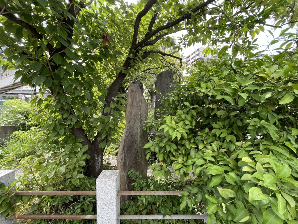 木々の間に残る古い石碑
