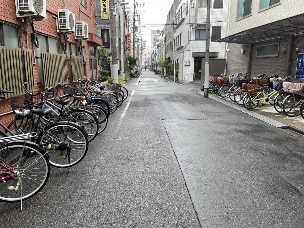 日本堤の旅館が建ち並ぶ路地を歩き続ける一羽のハト